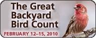 Great Backyard Bird Count 12th-15th