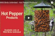 Hot Pepper Products